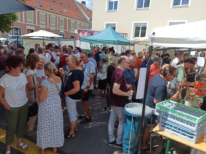 Besucherinnen und Besucher zwischen den Ständen vor dem Haus